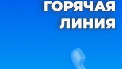 На Сахалине открыта горячая линия помощи пациентам, перенёсшим инсульты и инфаркты