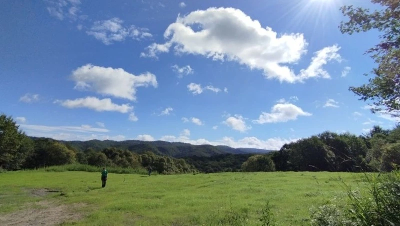 Про мусор и людей: ситуация в Синегорске - отражение глобальной проблемы региона