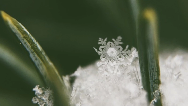 Церковный праздник 22 декабря 2023: что нельзя делать в этот день, приметы