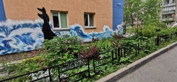 В островной столице продолжается конкурс «Цветущий Южный»