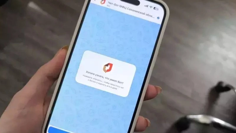 Сахалинцы теперь могут оформить запись в МФЦ и следить за статусом обращения в МАХ