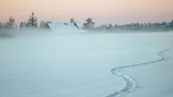 Снег различной интенсивности и ветер ожидаются на Сахалине 20 февраля