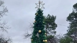Два мощных циклона не повлияли на подготовку парка к зимнему сезону и Новому году