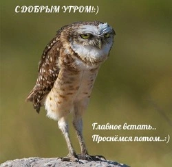 Позитивные картинки с добрым утром — бесплатно 