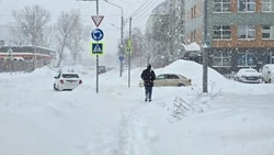 Сильный снег накроет большую часть Сахалинской области 6 февраля