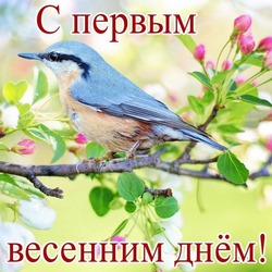 Первый день весны 2024 года: открытки с поздравлениями
