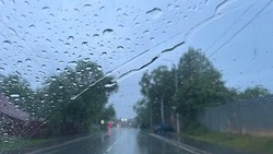 Дождь и до +15 градусов ожидается в Сахалинской области 20 июня