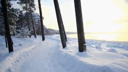 Прогноз погоды на Сахалине с 10 по 16 февраля: повышение температуры и небольшой снег
