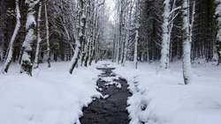 Прогноз погоды в Южно-Сахалинске на 30 ноября: небольшой снег и гололед