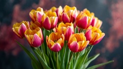 Поздравления с 8 Марта: красивые стихи и проза