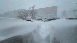 Сильная метель и снег: прогноз погоды в Сахалинской области на 25 января