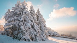 Потепление до +4 градусов ожидается на Сахалине 13 февраля