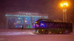 Циклон обрушит сильный снегопад и ветер на Сахалинскую область