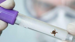 «Забытые» вирусы возвращаются: сахалинцам рассказали о сезонных детских прививках 