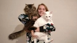 Волонтер из Южно-Сахалинска уже не один год  заботится о нескольких десятках кошек