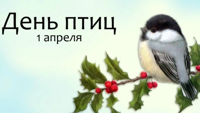 Красивые картинки с Международным днем птиц 2025