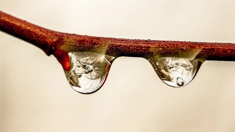 Небольшой дождь и ветер: прогноз погоды в Сахалинской области на 26 апреля