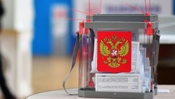 «Чисто и прозрачно»: на Дальнем Востоке обеспечили открытость выборов президента РФ