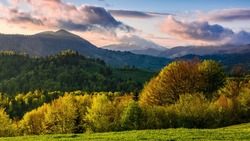 Международный день лесов—2025: история праздника, угрозы и меры защиты