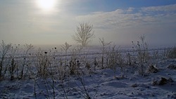 Погода в Сахалинской области 28 февраля: северный ветер и днем до -10 градусов