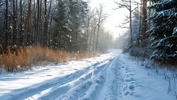 Прогноз погоды в Сахалинской области на 31 января: ветер, снег и +2 градуса