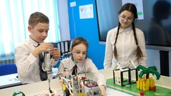 Будущее начинается здесь:  робототехника активно развивается в учебных заведениях Южно-Сахалинска
