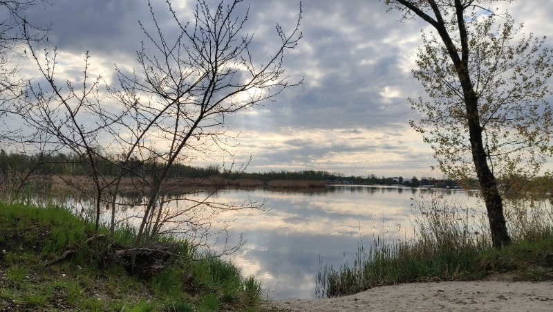 Туман и умеренный ветер ожидаются в Сахалинской области 24 апреля