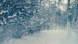 Метель и -4 градуса ожидается на Сахалине 29 января