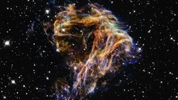 Гороскоп на 6 июня 2025 года: Весы найдут нужные слова, Скорпионы завершат начатое