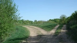 Жаркий день ожидается на Сахалине 21 августа