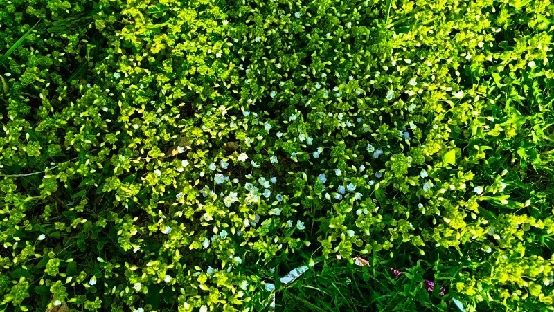 Народные приметы на 11 мая 2024: что строго нельзя делать в этот день