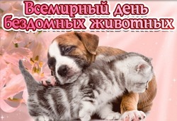 Всемирный день бездомных животных 2024 – картинки и открытки