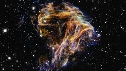 Гороскоп на 6 июня 2025 года: Весы найдут нужные слова, Скорпионы завершат начатое