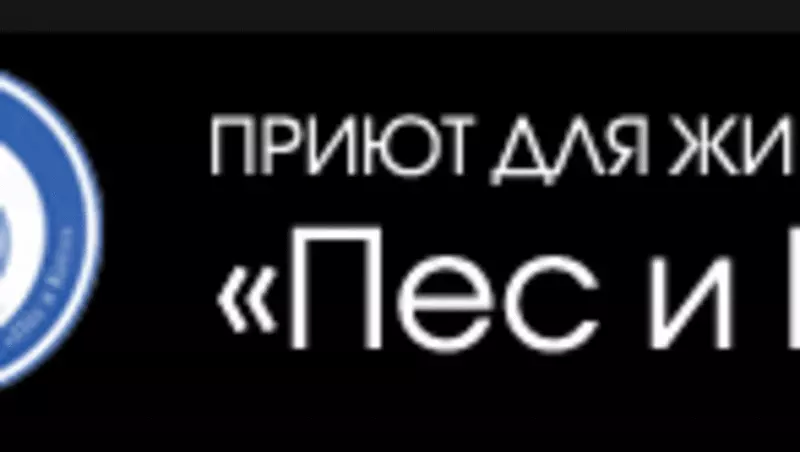 Жизнь после смерти